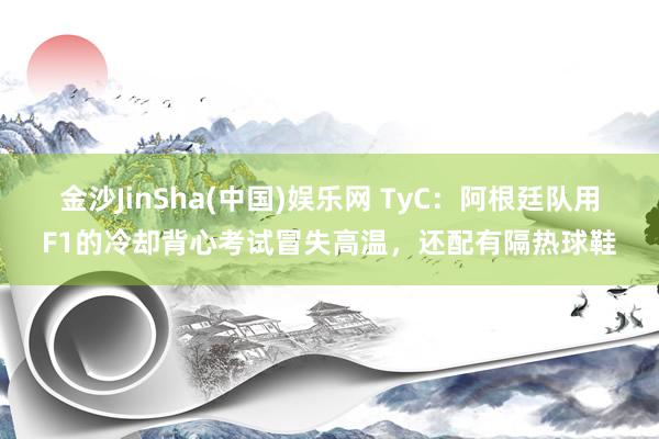 金沙JinSha(中国)娱乐网 TyC：阿根廷队用F1的冷却